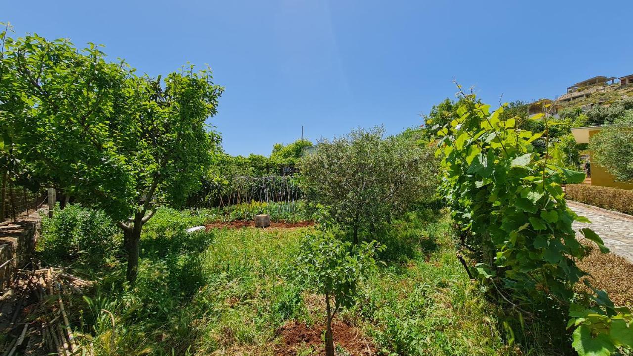 סרנדה Village Home Next To The Sea מראה חיצוני תמונה